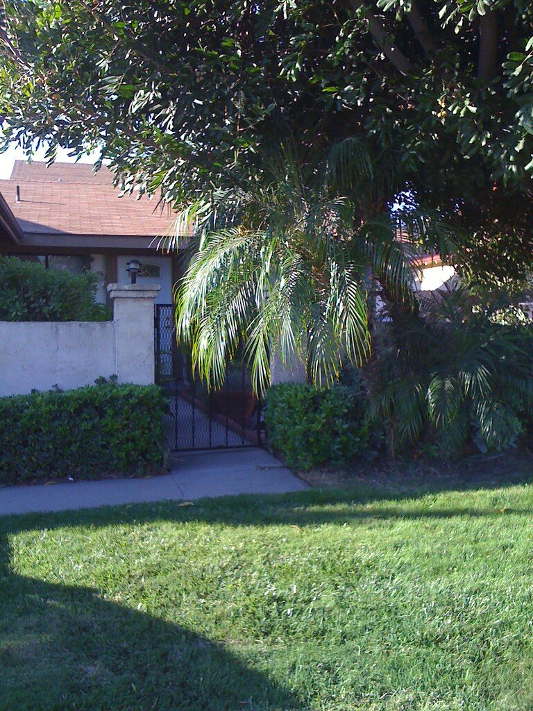 A freshly mown front lawn with a clipped hedge, a low boundary wall and a path leading to the house
